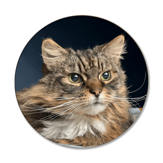 An example of a custom printed coaster with a photo of a cat on